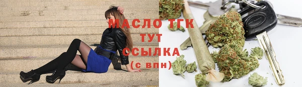 мет Алексин