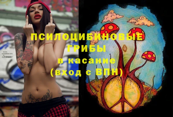 дживик Алзамай