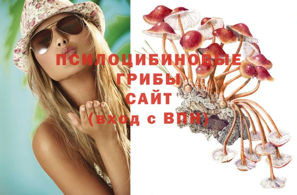 мет Алексин