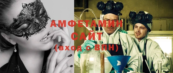 мет Алексин