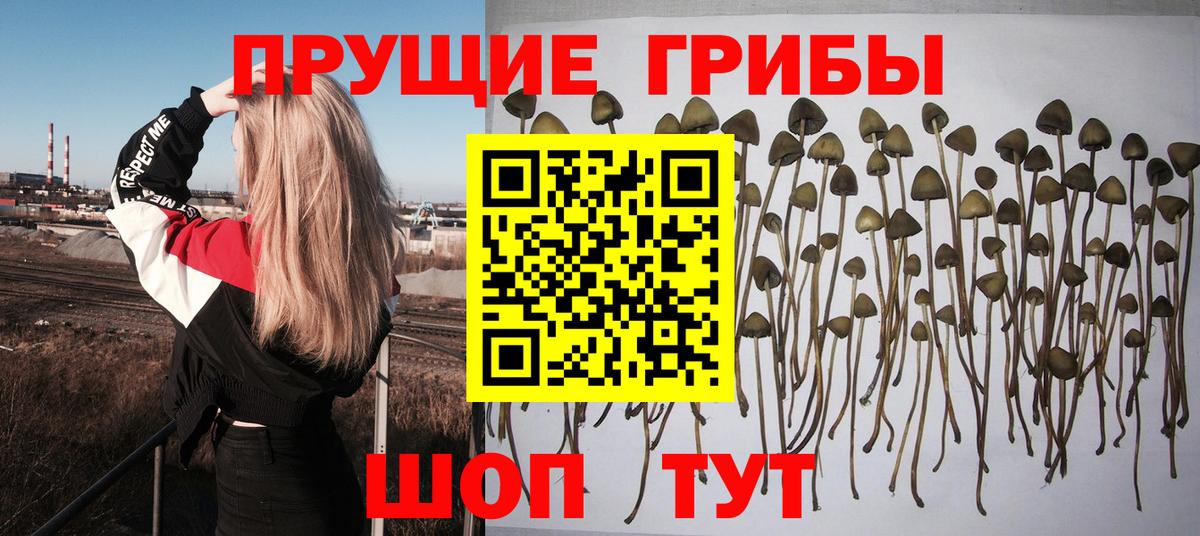 Псилоцибиновые грибы Psilocybe  Псилоцибиновые грибы мухоморы  Севастополь  Вход с VPN 